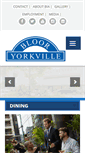 Mobile Screenshot of bloor-yorkville.com